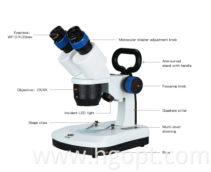 Binocular Microscope Wf10x 20mm Stereo Zoom Microscope